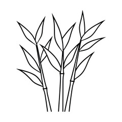 Obraz premium bamboo stalks line art on white background (1).eps