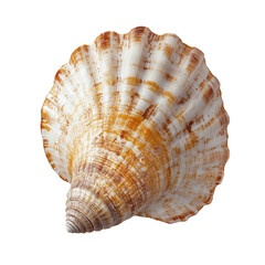 Obraz premium A tiny baby hamster nestled gently in the hands of a person wearing a fluffy pastel sweater on transparent png background. Ai generated