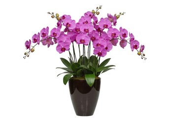 Arrangement of purple orchids in a brown ceramic vase