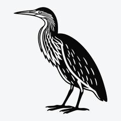Fototapeta premium American Bittern Silhouette White background illustration Generative Ai
