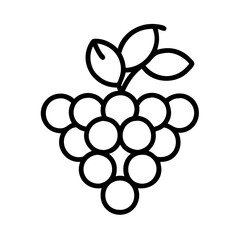 Vector illustration of fresh grapes icon outline style for healthy food and fruit design
