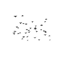 mark, symbol, background, question, problem, design, sign, illustration, icon, white, answer, concept, idea, isolated, information, think, ask, vector, faq, help, business, web, support, message