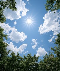 Looking up at the sky with sun and clouds framed by trees.