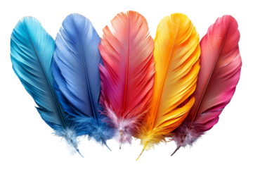 A vibrant spectrum of feathers cascading across a canvas showcasing a rich palette of colors