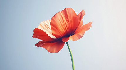 Radiant Red Poppy Against Light Sky