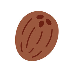 Coconut fruit hand drawn vector illustration