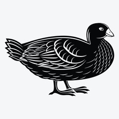Fototapeta premium American Coot Silhouette White background illustration Generative Ai
