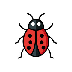 ladybug doodle icon vector illustration on transparent background