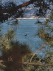 A boat on the coast between the branches of the trees.