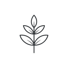 green leaf isolated on white