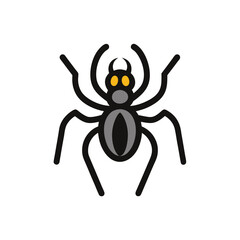 Obraz premium black spider isolated on white