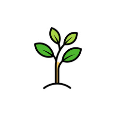 Fototapeta premium tree with green leaves