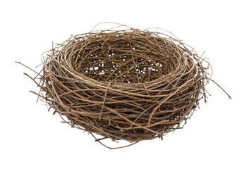 Obraz premium Isolated empty bird nest springtime nature animal habitat isolated on white background
