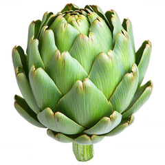 Obraz premium Fresh artichoke on transparent background