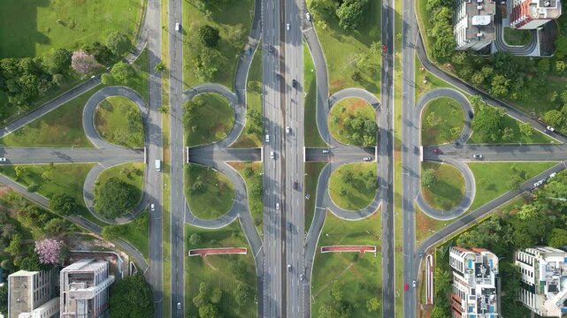 Tesourinhas da Asa Norte na Capital do Brasil