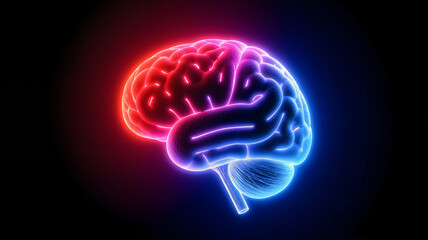x ray of brain