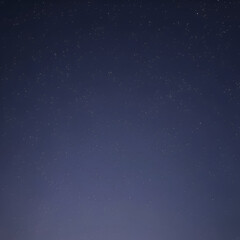 Variant The sky is transiently etched with luminous scars of bri