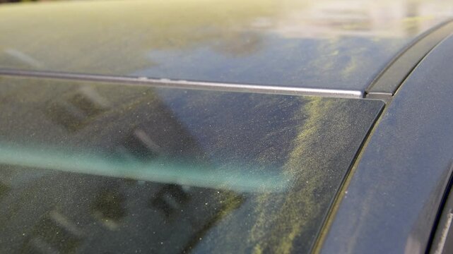 Birch pollen on a car. Birch pollen covered the surface of a car.
