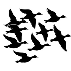 flock of flying duck silhouette vector isolated on white background