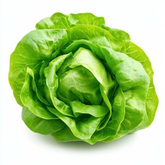 Fresh and crisp head of lettuce, perfect for salads and healthy meals. Its vibrant green leaves add a burst of color to any dish.