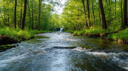Obraz premium Serene forest stream flowing to small waterfall