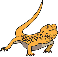 Orange Bearded Dragon in a Playful Pose