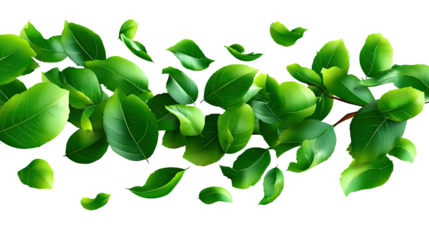 Flying Green Leaves: A vibrant visual of fresh, green leaves in mid-air, conveying themes of growth, nature, and freshness.