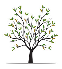 Obraz premium Shape of green Spring Tree with Leaves. Vector outline Illustration.