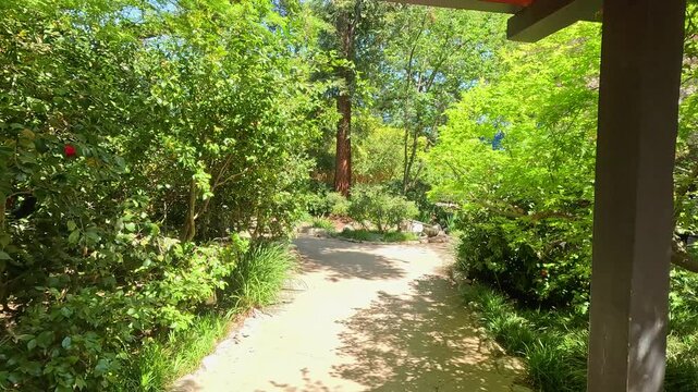 footage along a winding footpath with lush green trees and plants and colorful flowers at Descanso Gardens La Ca&ntilde;ada Flintridge California USA