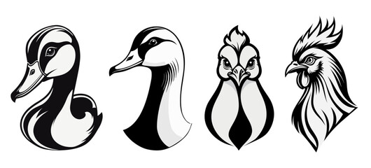 Set of farm birds, black and white. Duck, goose, hen, rooster