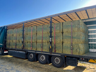 Transport of feed bales to the farm - agricultural transportation