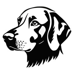 og face isolated on a white background, SVG, Vector, Illustration