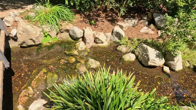 footage of a gorgeous spring landscape with a pond, lush green trees and flowers at Descanso Gardens La Ca&ntilde;ada Flintridge California USA