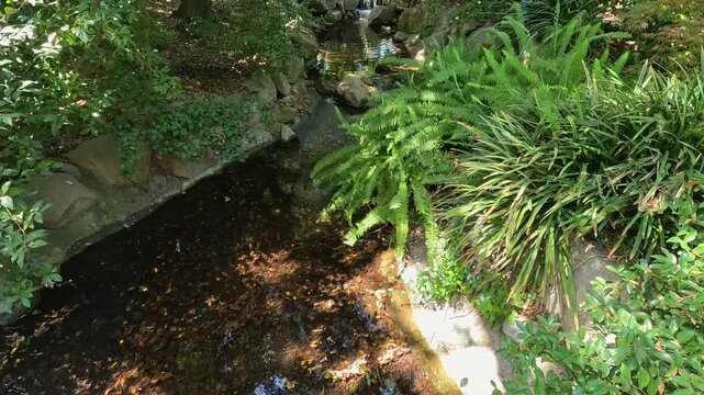 footage of a flowing creek with rocks and lush green trees and plants at Descanso Gardens La Ca&ntilde;ada Flintridge California USA