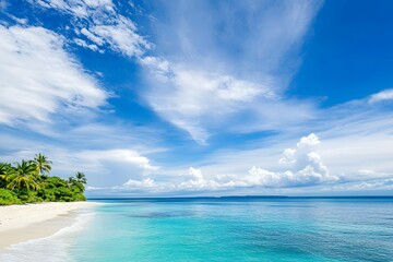 Fototapeta premium Tropical beach with white sand turquoise water palm trees and blue sky.