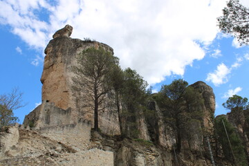 Naturaleza en Cuenca