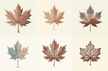 Flat vector art of a dried maple leaf with muted colors