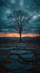 Fototapeta premium Silhouette tree against a sunset sky, autumn leaves on cobblestone ground