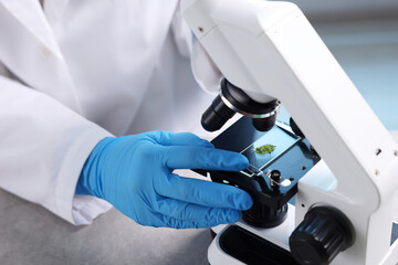 Biochemistry. Scientist looking at plant with microscope in laboratory, closeup