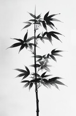 Fototapeta premium Minimalist Black and White Bamboo Ink Painting in Japanese Sumi-e Style