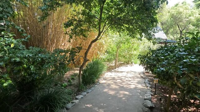 footage along a winding footpath with lush green trees and plants and colorful flowers at Descanso Gardens La Ca&ntilde;ada Flintridge California USA