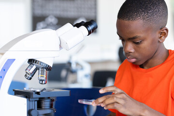Using microscope, student examining petri dish in school science classroom