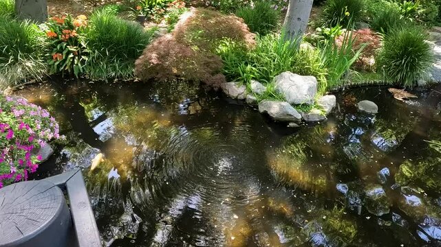 footage of a gorgeous spring landscape with a pond, lush green trees and flowers at Descanso Gardens La Ca&ntilde;ada Flintridge California USA
