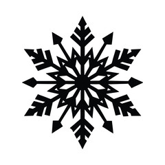 Snowflake Winter Ice Crystal Icon