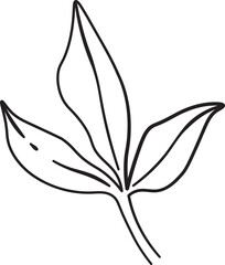 Minimalist Peony Leaf Drawing