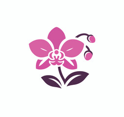 beautiful flower logo image vector