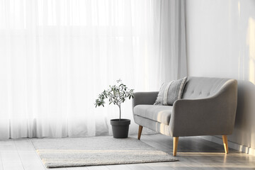 Interior of living room with light curtain and sofa