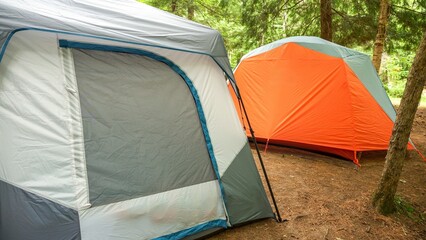 Two Colorful Camping Tents Set Up in the Lush Green Woods Surrounded by Tall Majestic Trees