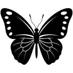 butterfly silhouette vector isolated on white background