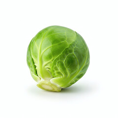 Fototapeta premium Fresh Green Brussels Sprout Vegetable on White Background